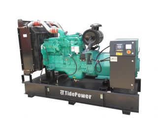 Дизельный генератор Tide Power EB250-C1 (6LTAA8.9-G3) в контейнере с АВР